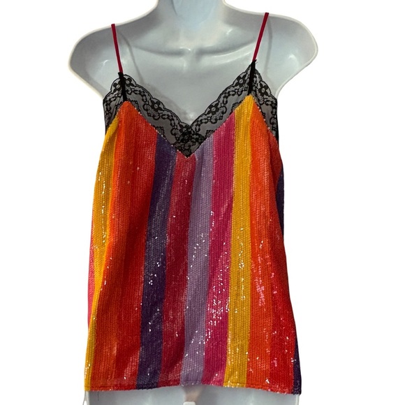 Olivia Rubin Flora Cami Pre Fall Stripe Sequin Lace Camisole Top Size 6 NEW NWT - Picture 4 of 12